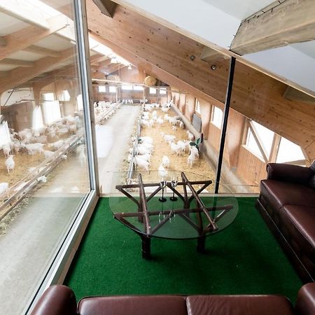 Apartament Auszeit Am Ziegenhof Nur Fuer Erwachsene Schlierbach Zewnętrze zdjęcie