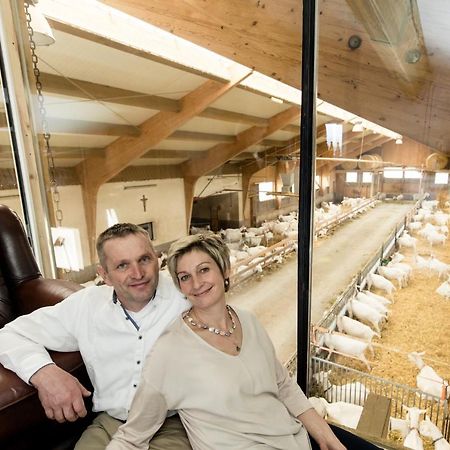 Apartament Auszeit Am Ziegenhof Nur Fuer Erwachsene Schlierbach Zewnętrze zdjęcie